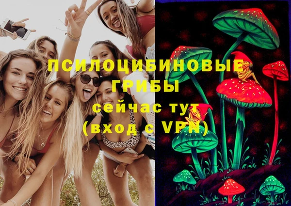 стафф Алексин