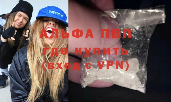 стафф Алексин
