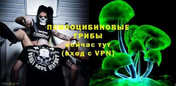 стафф Алексин