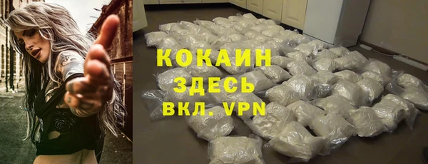 стафф Алексин