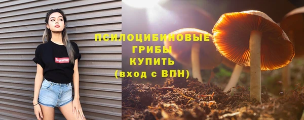 стафф Алексин